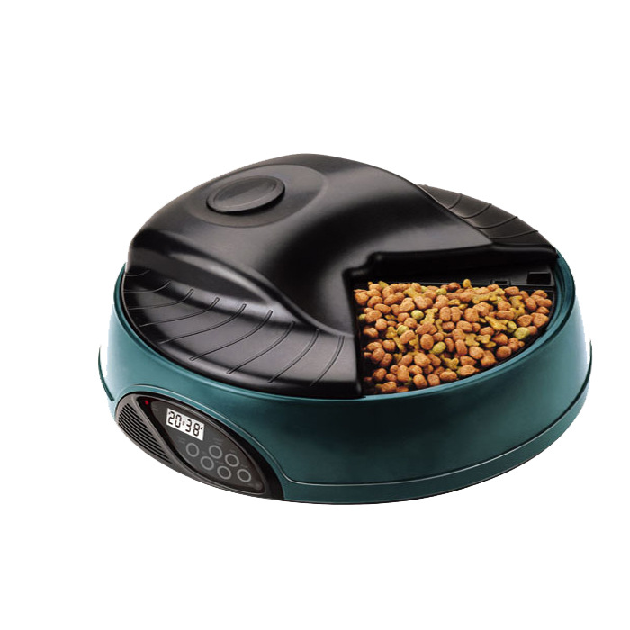 Large Spout Timed Pet Feeder