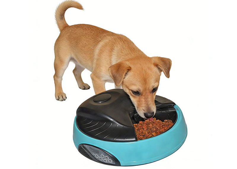 مغذي ذكي - يجعل إطعام الحيوانات الأليفة أكثر سهولة