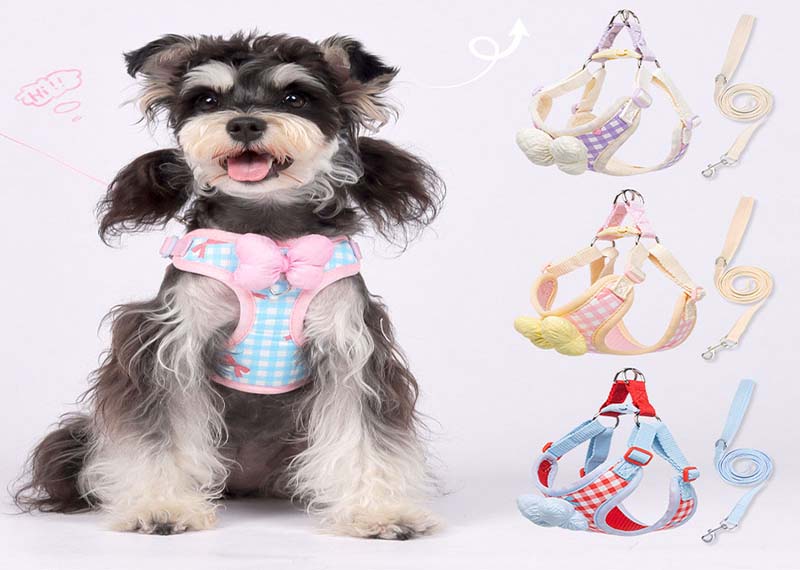 Cute Puppy Harness Set