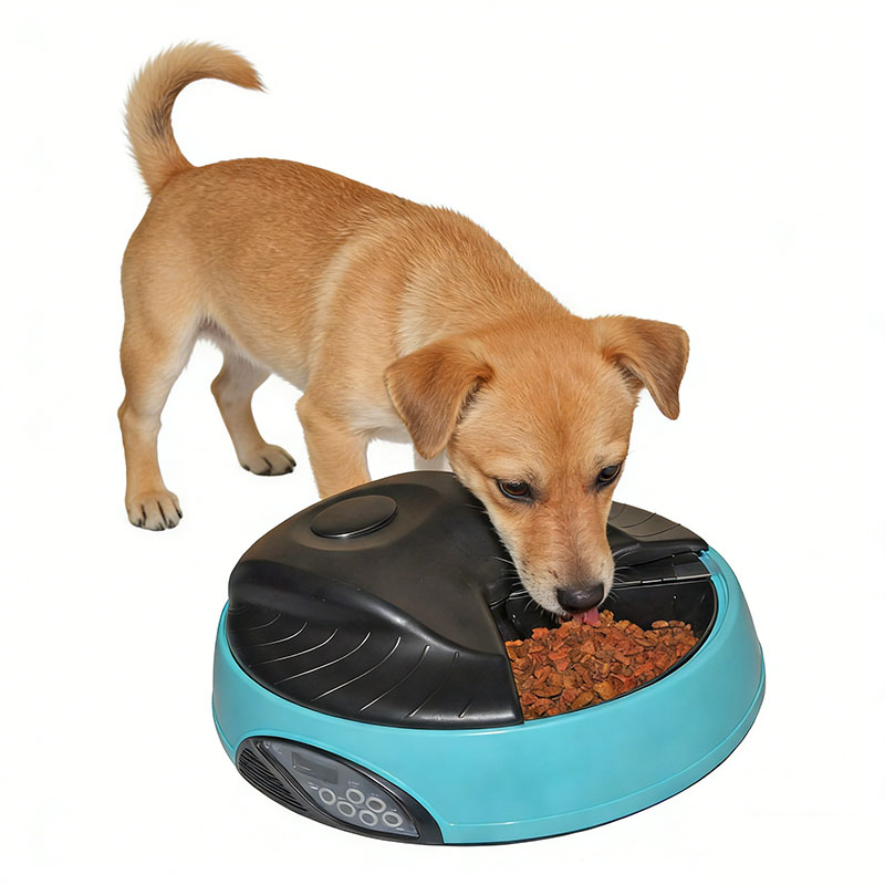 Battery Powered Automatic Pet Feeder