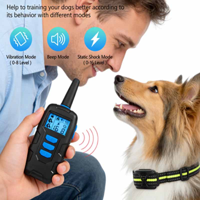 dog training collar