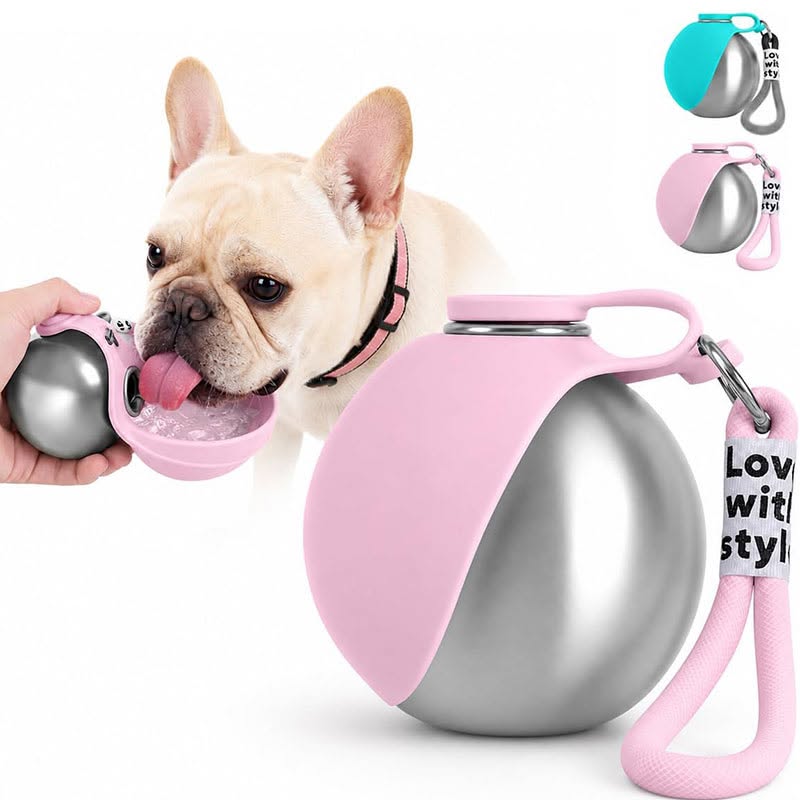 Spherical 304 stainless‑steel portable dog travel water bottle with lanyard