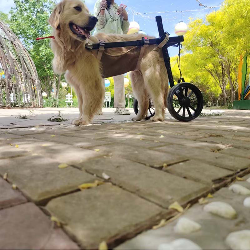 pet injury recovery walking cart